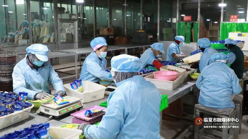 春節(jié)將至訂單增 臨夏市鄉(xiāng)村就業(yè)工廠奮力沖刺 開(kāi)門(mén)紅